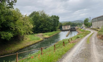 Animali che cadono nel canale a Grignasco: "Qualcosa si muove"