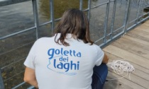 Goletta dei Laghi: su 10 punti campionati nel Maggiore, 5 sono fortemente inquinati