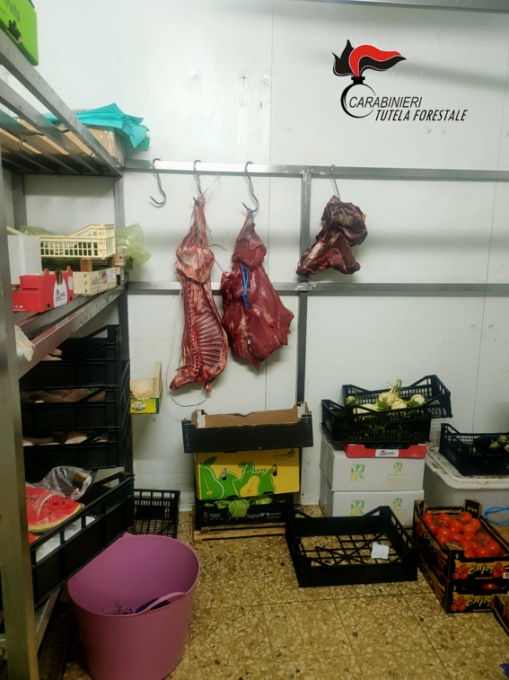Forestali chiudono negozio di ortofrutta ad Arona: ordinata l’immediata distruzione degli alimenti