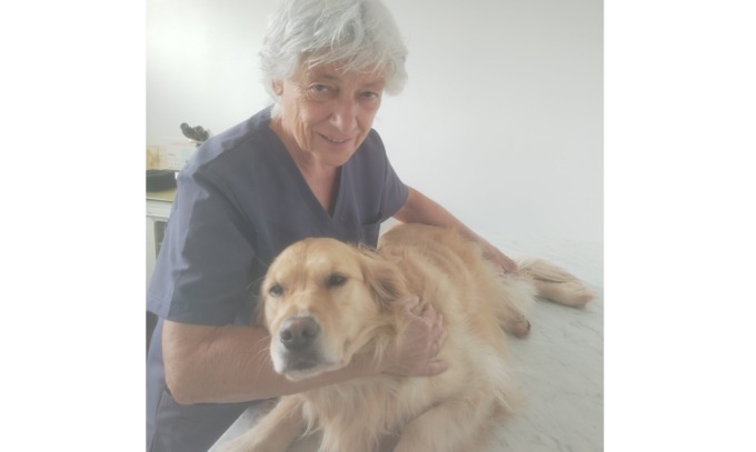 Oggi è la Giornata Internazionale del Cane: la top ten di quelli più longevi
