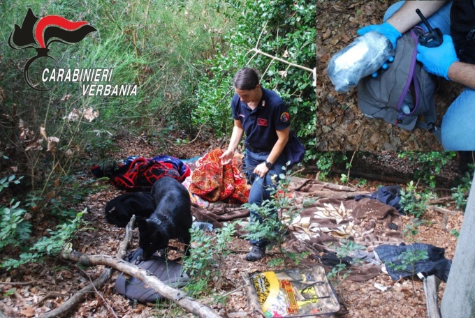 Rumori di spari nel bosco: spacciatori arrestati a Brovello Carpugnino – IL VIDEO