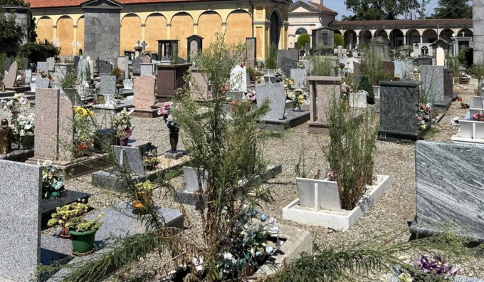 Novara: troppe tombe abbandonate e il cimitero diventa una “foresta”