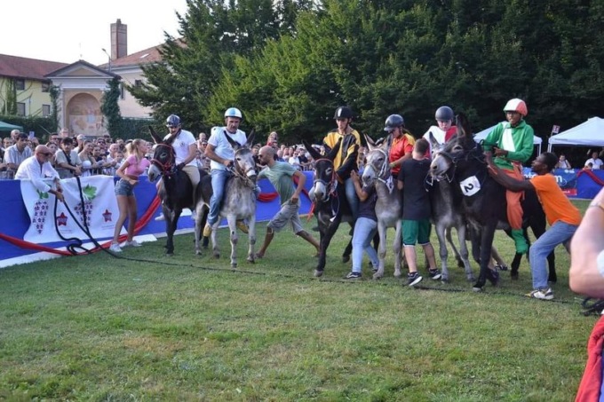 Palio degli Asini: tolta la vittoria al fantino del San Rocco