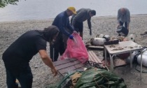 "Puliamo il mondo" nelle spiagge di Lesa grazie a "Gli amici del Lago"