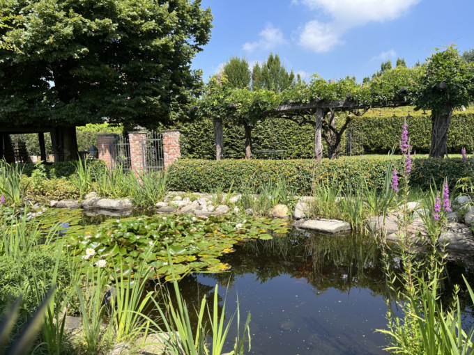 Visita esclusiva al Borgo San Cristoforo 1472: emozioni di storia, architettura e natura nel Parco del Ticino