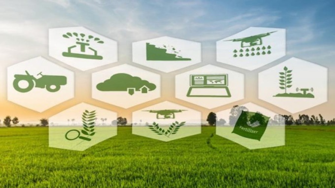 20,6 milioni dal Pnrr a quasi 1.000 aziende agricole che investono in innovazione tecnologica