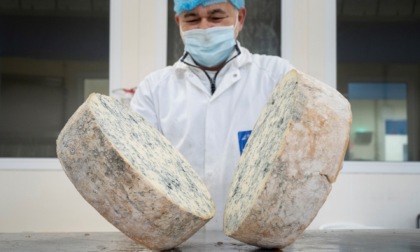 Gorgonzola da record: crescono produzione ed export, soprattutto fuori dall'UE