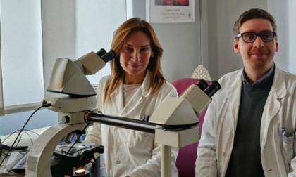 Identificato nuovo meccanismo per contrastare le metastasi cerebrali: eccezionale scoperta a Torino