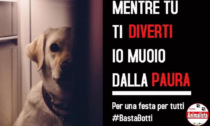 E' partita la Campagna “Basta Botti 2025” da parte del Partito Animalista Italiano