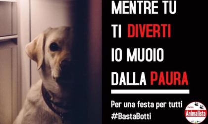 E' partita la Campagna “Basta Botti 2025” da parte del Partito Animalista Italiano