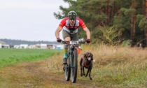 A Novara prima tappa del campionato di "sleddog": rivive l’emozione della corsa dei cani da slitta