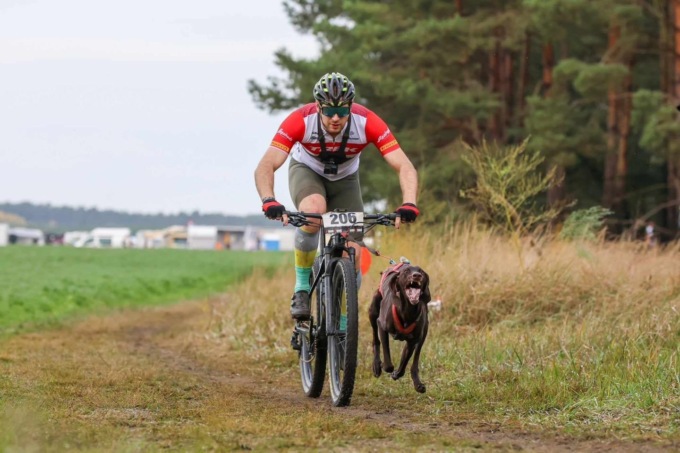 A Novara prima tappa del campionato di “sleddog”: rivive l’emozione della corsa dei cani da slitta