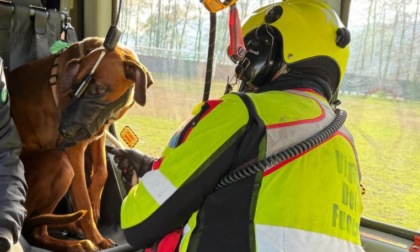 Bloccata sul Mottarone: 37enne con il suo cane salvata dai vigili del fuoco