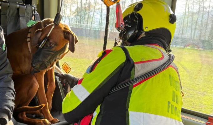 Bloccata sul Mottarone: 37enne con il suo cane salvata dai vigili del fuoco