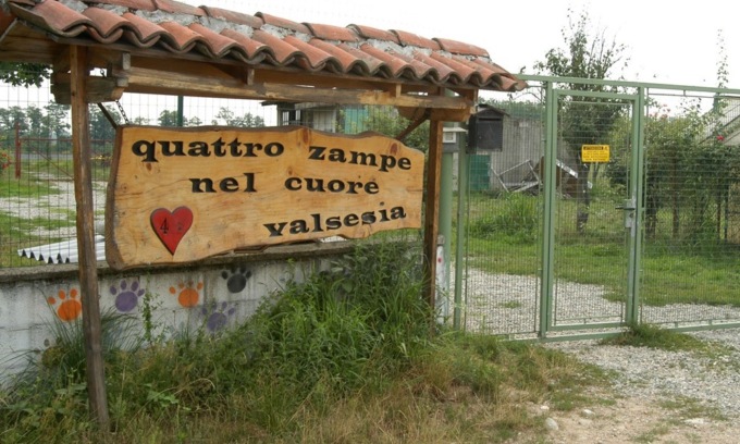 Canile in Valsesia verso la chiusura: “Siamo allo stremo, adottate un nostro ospite”