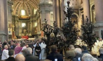 Novara ha celebrato il suo San Gaudenzio: corteo e cerimonia del Fiore in Basilica - VIDEO e FOTO