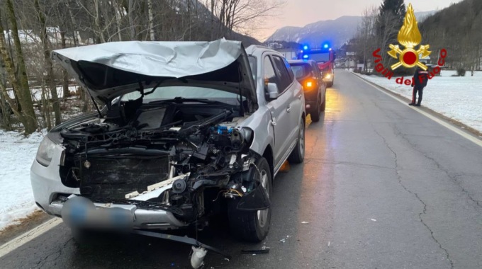 Incidente nel Vco: auto centra un cervo, guidatore e animale soccorsi