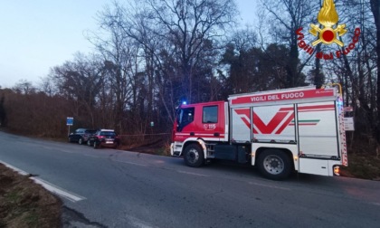 Uomo travolto e ucciso da un albero: la vittima è un 66enne di Varallo Pombia