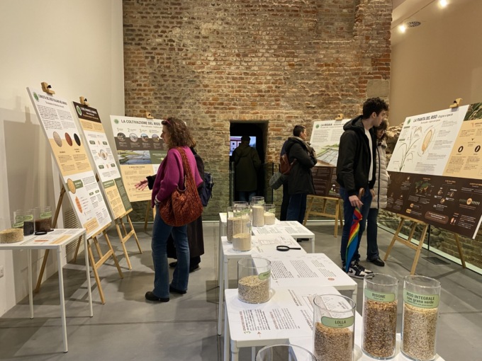 A Novara successo per la mostra dell’Ente nazionale risi