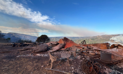 Anche una coppia castellettese ha perso tutto nei terribili incendi in California