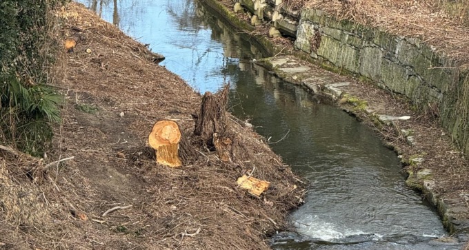 Gusmeroli: “Prevenire è importante”, pulizia in corso del Torrente Vevera ad Arona