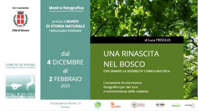 Prosegue la mostra di Ferrandi al museo Faraggiana di Novara