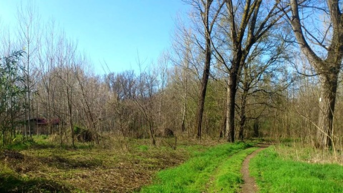 Compensazione ambientale: interventi di sistemazione all’interno del Parco del Ticino