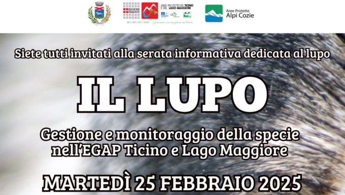 Il Lupo: l’Egap Ticino e Lago Maggiore organizza una serata informativa a Dormelletto