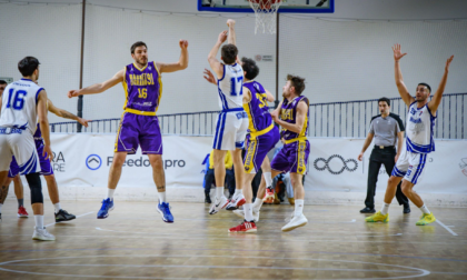 L'arrivo di coach Campari fa bene al basket College Novara: miglior prestazione della stagione