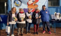 Lilt Novara in piazza sabato 22 e domenica 23 marzo