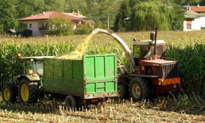 Iniezione di liquidità per le aziende agricole del Piemonte