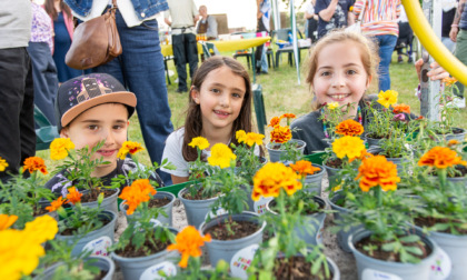 “Fiori di testa… in festa!”: premi, musica e inclusione con Anffas Novara