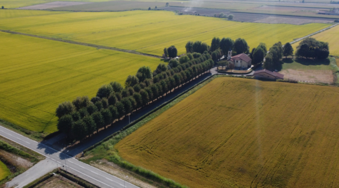 A Novara due convegni per la Settimana della Bonifica e dell’Irrigazione