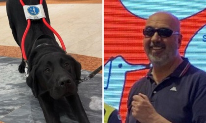 Novara, progetto Pets: il cane Mambo presterà i suoi occhi ad Alberto