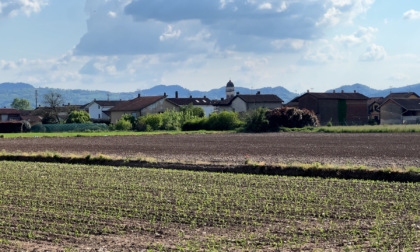 Risarcimenti agli agricoltori per danni da fauna selvatica, il Piemonte stanzia oltre 3,6 milioni di euro