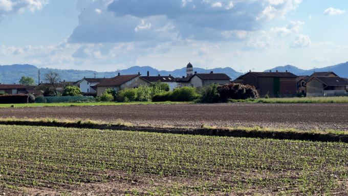 Risarcimenti agli agricoltori per danni da fauna selvatica, il Piemonte stanzia oltre 3,6 milioni di euro