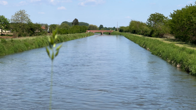 Crisi idrica nel Novarese: scatta il piano d’emergenza sul Canale Cavour