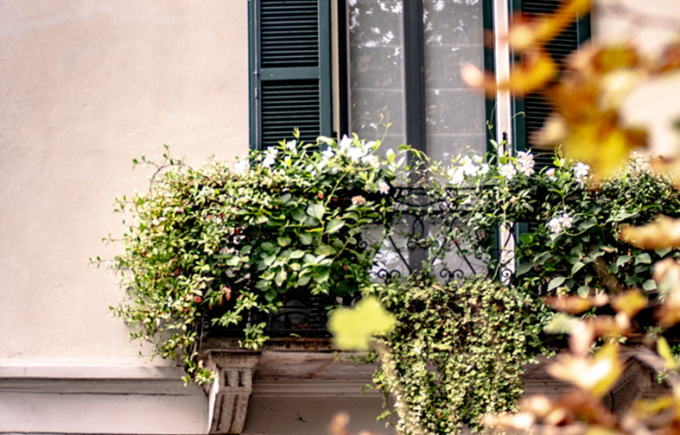 Riparte “Balconi in fiore”: seconda edizione della gara novarese