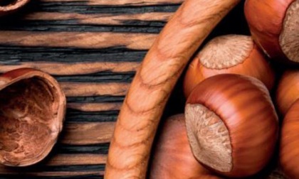 Un progetto di ricerca per il miglioramento genetico della nocciola piemontese