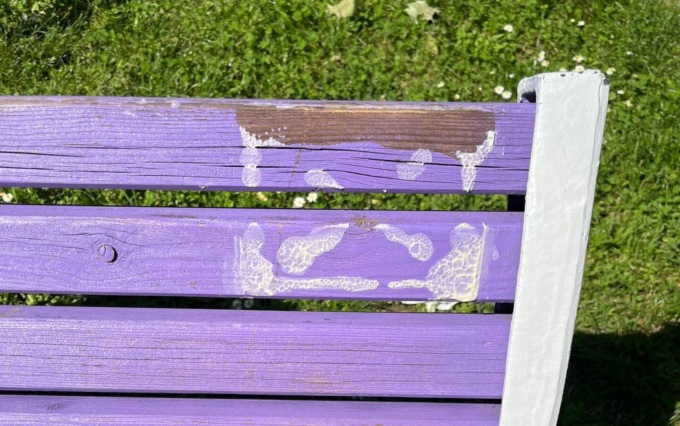 Rubata la targa della panchina di Neo-n: “Restituirla sarebbe un gesto importante”