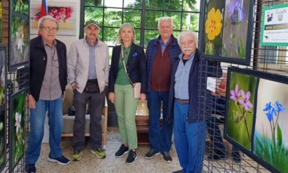Successo per "Emozioni nel cortile delle Magnolie" a Trecate