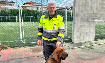 “La Protezione Civile in cartella”: a lezione di sicurezza con Dikra, cane eroe della Polizia locale