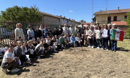 Trecate celebra la Giornata della Legalità: piantato un ulivo alla scuola “Cassano”