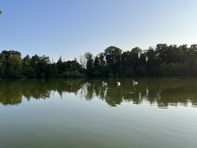 “Tramonto alla Torbiera” con la delegazione Fai di Novara