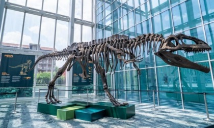 Un dinosauro nel Grattacielo Piemonte
