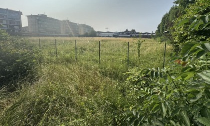 Acquisto dell’ex campo da calcio di via Monte Zeda ad Arona: i dettagli dell'operazione