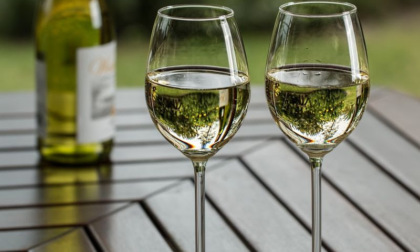 Confagricoltura: "La distillazione straordinaria utile ma serve un Piano di rilancio del vino piemontese"