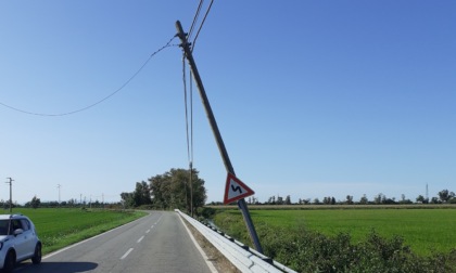 Pali delle linee telefoniche pericolanti lungo le provinciali: si chiedono interventi urgenti