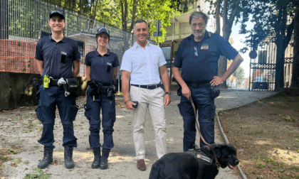 “Parchi sicuri”, a Novara torna il pattugliamento della Polizia locale con l’unità cinofila
