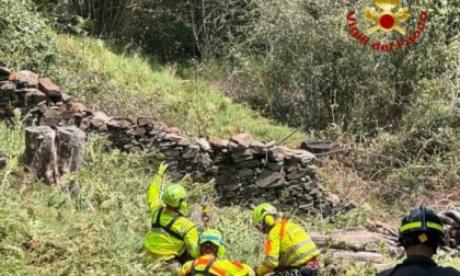 Austriaco ferito dall'albero che stava tagliando: gli è caduto addosso